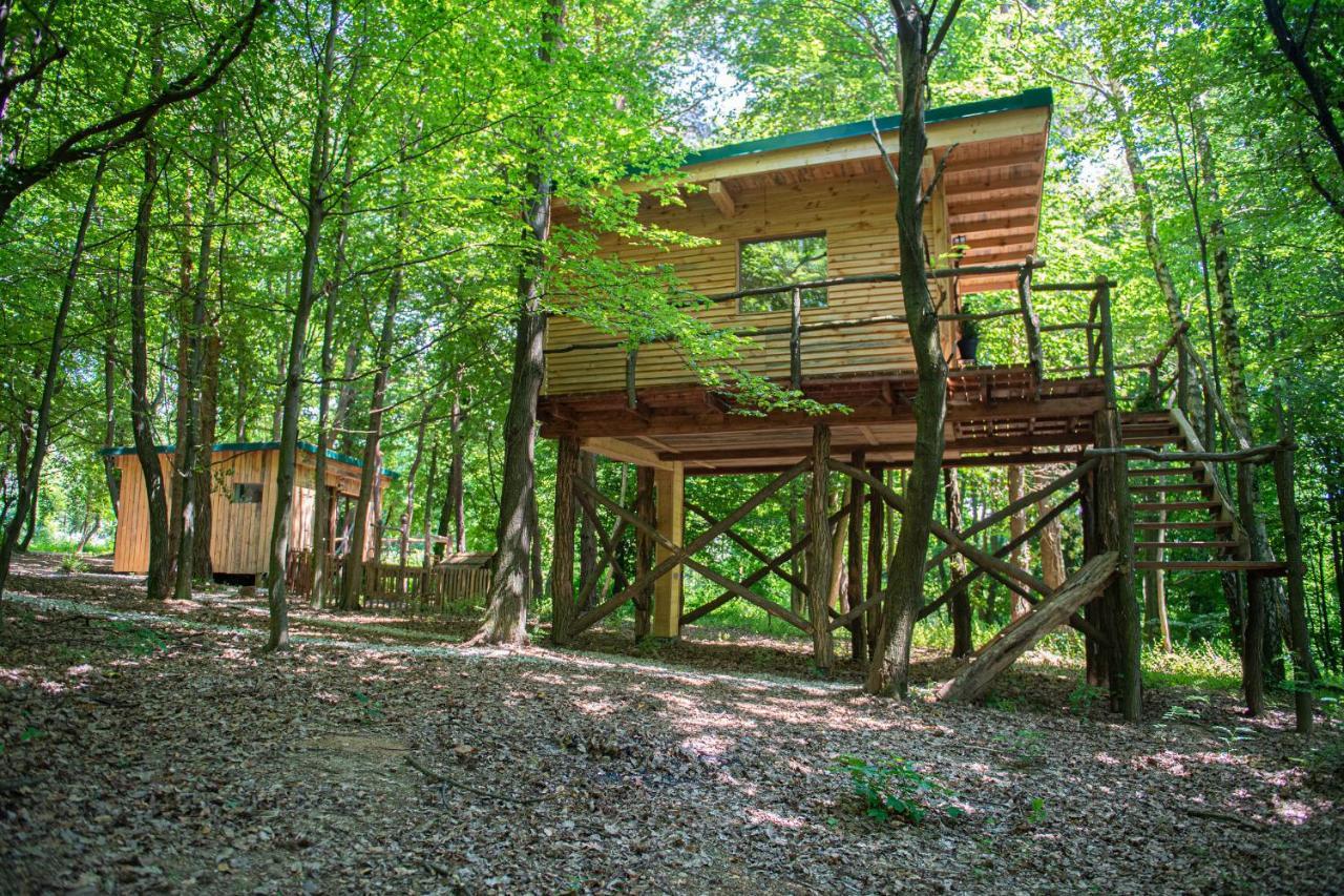 Living Forest Resort Moravske Toplice Zewnętrze zdjęcie
